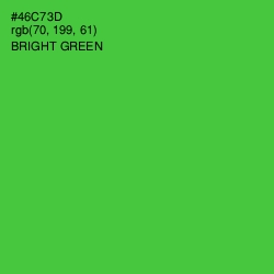 #46C73D - Bright Green Color Image