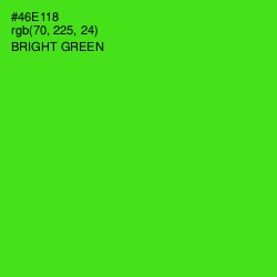 #46E118 - Bright Green Color Image