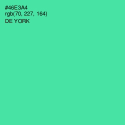 #46E3A4 - De York Color Image