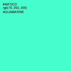 #46FDCD - Aquamarine Color Image