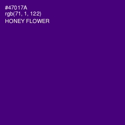 #47017A - Honey Flower Color Image