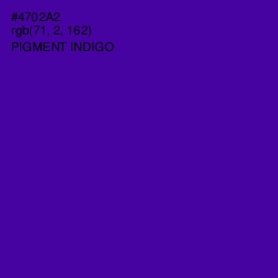 #4702A2 - Pigment Indigo Color Image