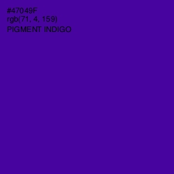 #47049F - Pigment Indigo Color Image
