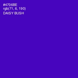 #4706BE - Daisy Bush Color Image