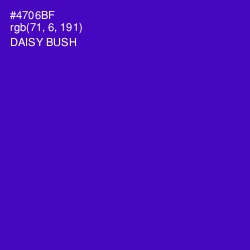 #4706BF - Daisy Bush Color Image