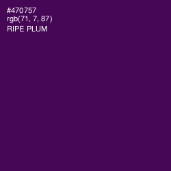 #470757 - Ripe Plum Color Image