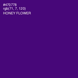 #470778 - Honey Flower Color Image