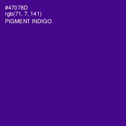 #47078D - Pigment Indigo Color Image