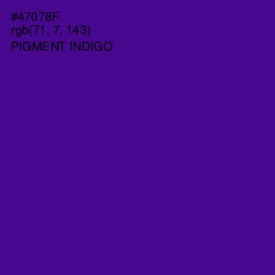 #47078F - Pigment Indigo Color Image