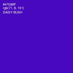 #4708BF - Daisy Bush Color Image