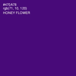 #470A78 - Honey Flower Color Image