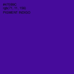 #470B9C - Pigment Indigo Color Image