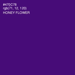 #470C78 - Honey Flower Color Image