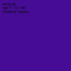 #470C95 - Pigment Indigo Color Image