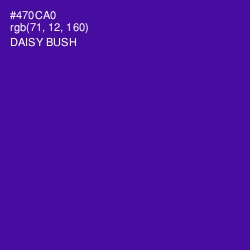 #470CA0 - Daisy Bush Color Image