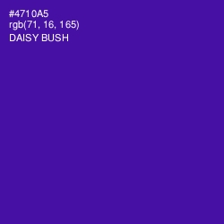 #4710A5 - Daisy Bush Color Image