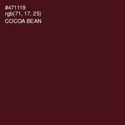 #471119 - Cocoa Bean Color Image