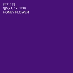 #471178 - Honey Flower Color Image