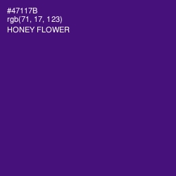 #47117B - Honey Flower Color Image