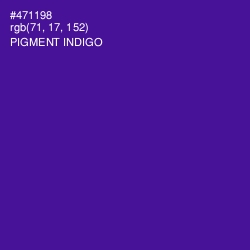 #471198 - Pigment Indigo Color Image