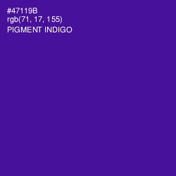 #47119B - Pigment Indigo Color Image