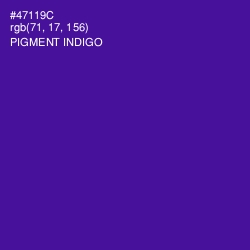 #47119C - Pigment Indigo Color Image