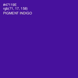 #47119E - Pigment Indigo Color Image