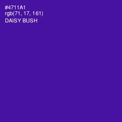 #4711A1 - Daisy Bush Color Image