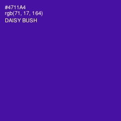 #4711A4 - Daisy Bush Color Image