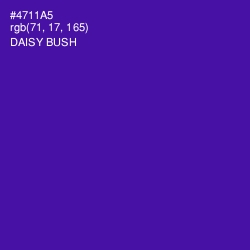 #4711A5 - Daisy Bush Color Image