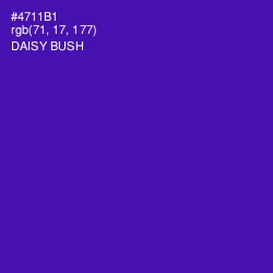 #4711B1 - Daisy Bush Color Image