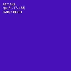 #4711B9 - Daisy Bush Color Image