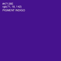 #47128E - Pigment Indigo Color Image
