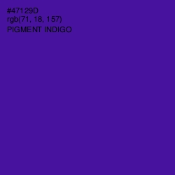 #47129D - Pigment Indigo Color Image