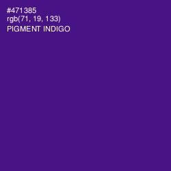 #471385 - Pigment Indigo Color Image
