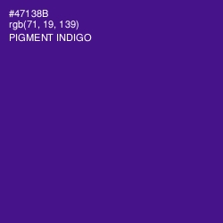 #47138B - Pigment Indigo Color Image