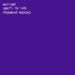 #47138F - Pigment Indigo Color Image