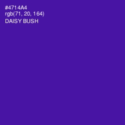 #4714A4 - Daisy Bush Color Image