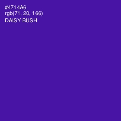#4714A6 - Daisy Bush Color Image
