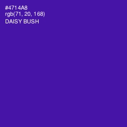 #4714A8 - Daisy Bush Color Image