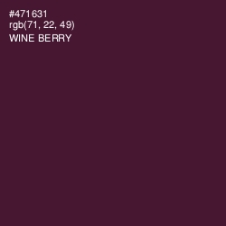 #471631 - Wine Berry Color Image