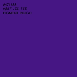 #471685 - Pigment Indigo Color Image