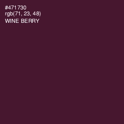 #471730 - Wine Berry Color Image