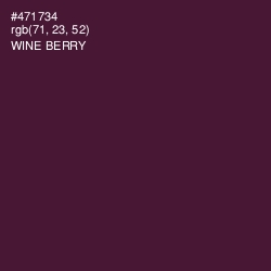 #471734 - Wine Berry Color Image