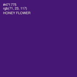 #471775 - Honey Flower Color Image