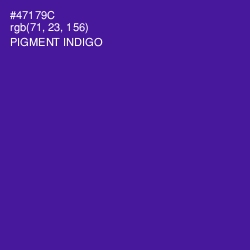 #47179C - Pigment Indigo Color Image