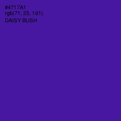 #4717A1 - Daisy Bush Color Image