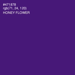 #471878 - Honey Flower Color Image