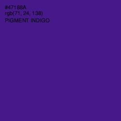 #47188A - Pigment Indigo Color Image