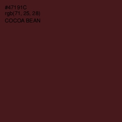 #47191C - Cocoa Bean Color Image